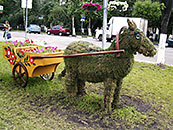 Лошадка